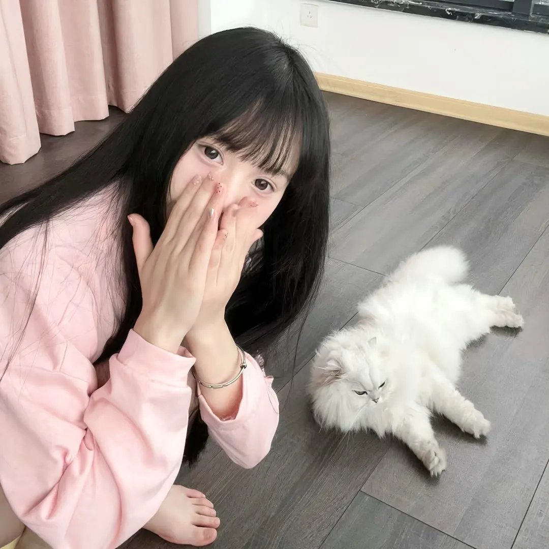 代号火箭炮 封面
